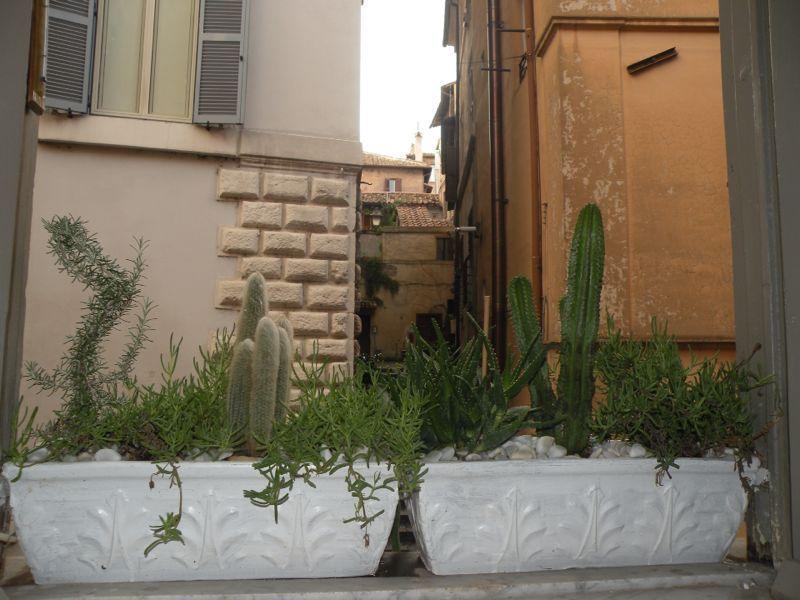 Navona Lovely Penthouse Roma Habitación foto